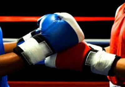 تألق ملاكمات بولندا مع إحياء الدوري المحلي