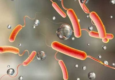 كولومبيا تعلن حالة طوارئ صحية بسبب الحمى الصفراء