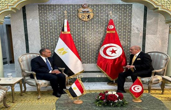 وزير الخارجية المصري يبحث مع نظيره التونسي العلاقات الثنائية