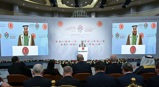 الإمارات: لا استقرار في المنطقة دون حل الدولتين