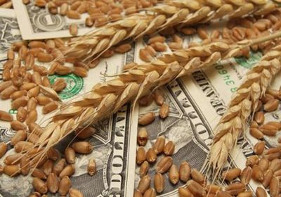 ارتفاع أسعار الحبوب في شيكاغو بظل الحرب التجارية