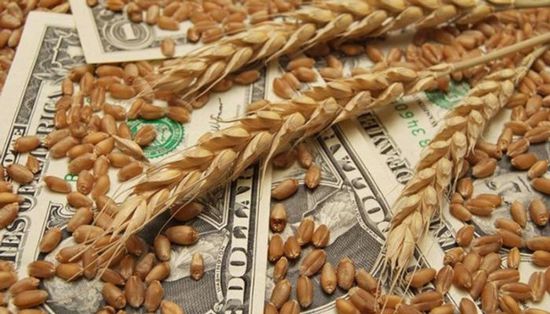 ارتفاع أسعار الحبوب في شيكاغو بظل الحرب التجارية