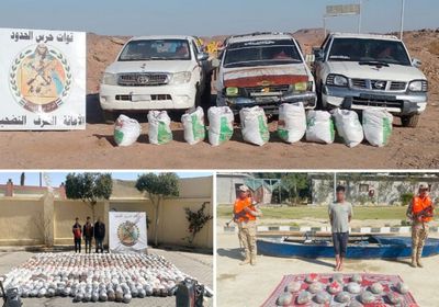 مصر.. حرس الحدود يحبط مخططات تستهدف الأمن القومي