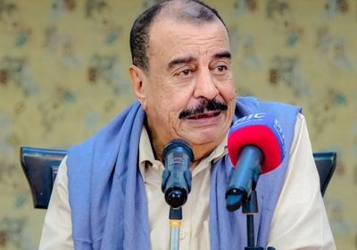 بن بريك: حضرموت نموذج للمحافظات المحررة بتماسكها