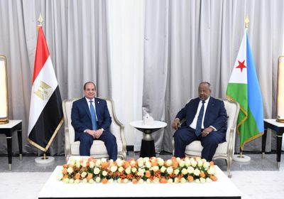 السيسي: إقامة مركز لوجيستي للشركات المصرية بالمنطقة الحرة فى جيبوتي