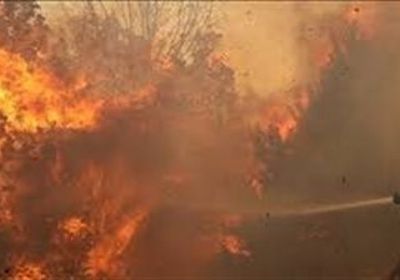 إسرائيل تخلي بلدات قريبة من القدس المحتلة بسبب الحرائق