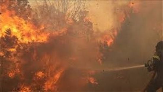 إسرائيل تخلي بلدات قريبة من القدس المحتلة بسبب الحرائق