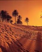 مبادرة رمزية للتوعية على مكافحة التلوث البيئي في صحراء المغرب