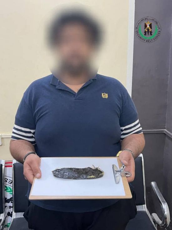 القبض على متهم بترويج الحشيش في المنصورة بعد تحريات