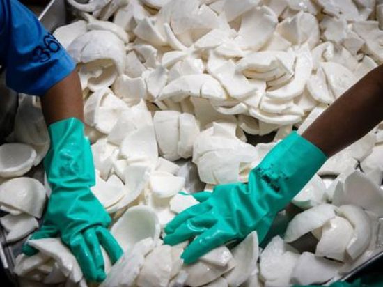 تراجع إنتاج جوز الهند عالميًا يهدد الإمدادات ويرفع الأسعار