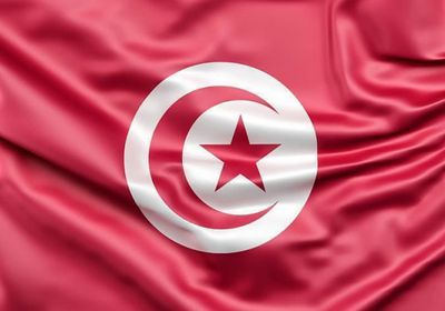 الرئيس التونسي يندد بـ"تدخل سافر في الشأن الداخلي" بعد انتقادات خارجية