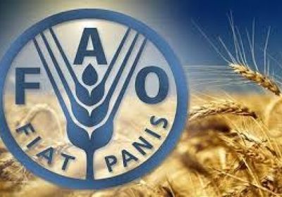 الفاو: زيادة أسعار الغذاء العالمية في أبريل