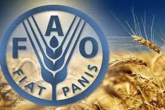 الفاو: زيادة أسعار الغذاء العالمية في أبريل
