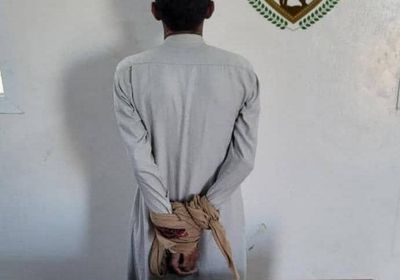 سقوط مروج حشيش وشبو في نقطة لقوات دفاع شبوة