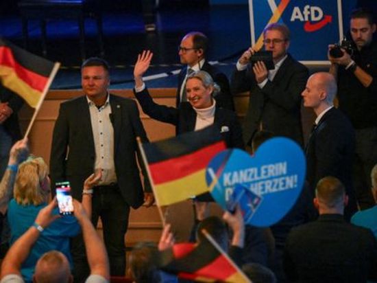       تصنيف حزب البديل من أجل ألمانيا اليميني كيانًا إرهابيًا
