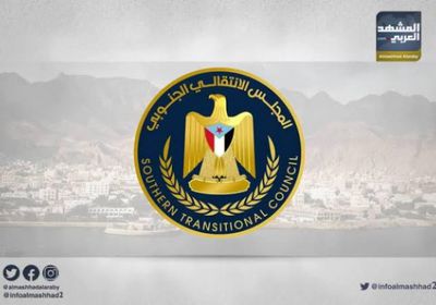 السيادة بين السياسة والجبهة.. طريق الجنوب نحو استعادة الدولة