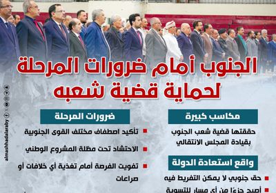 الجنوب أمام ضرورات المرحلة لحماية قضية شعبه (إنفوجراف)