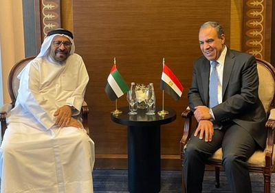 وزير الخارجية المصري يبحث مع وزير الدولة الإماراتى التطورات الإقليمية الراهنة