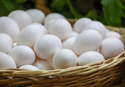 تراجع أسعار البيض في أمريكا مع انحسار إنفلونزا الطيور