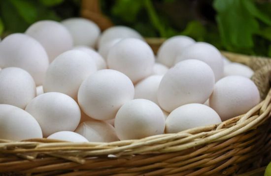 تراجع أسعار البيض في أمريكا مع انحسار إنفلونزا الطيور