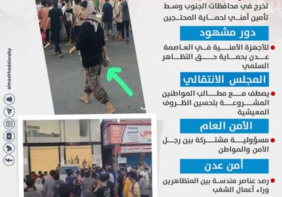 عناصر مندسة تهدد سلمية المظاهرات (إنفوجراف)