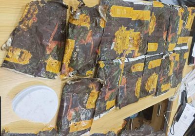 بعد ضبطها.. تسليم 13 كيلوجراما من الحشيش لأمن عدن 