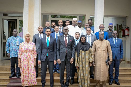 رئيس المرحلة الانتقالية في مالي يلتقي شخبوط آل نهيان بباماكو