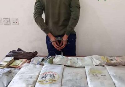 "دفاع شبوة" تحبط تهريب شحنة مخدرات إلى عدن