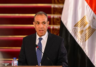 وزير الخارجية المصري يتوجه إلى باريس لبحث القضية الفلسطينية