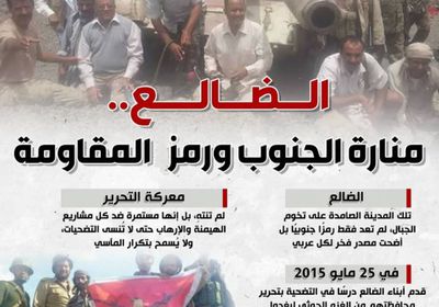 الضالع.. منارة الجنوب ورمز المقاومة (إنفوجراف)