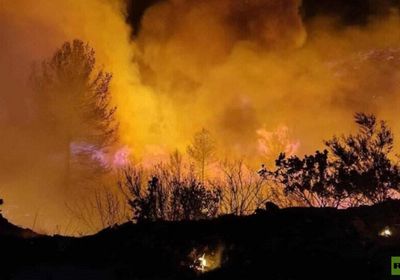    حرائق تلتهم الغابات وتقترب من المناطق السكانية بليبيا