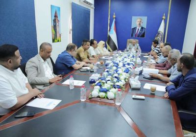 الوطنية للإعلام الجنوبي: تحرير الضالع ملحمة سطرها أبناء الجنوب