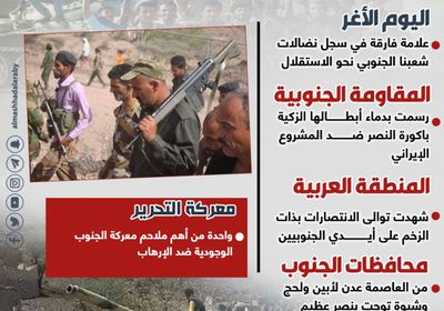 معركة الضالع.. بوابة النصر الجنوبي (إنفوجراف)