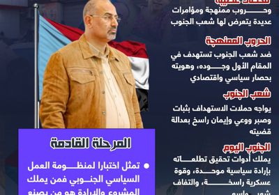 الجنوب.. شعب يتحدى وقيادة ترسم طريق المستقبل (إنفوجراف)