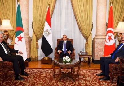 مصر وتونس والجزائر تدعو لوقف التصعيد في ليبيا فوراً