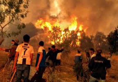 جزائري حاول إضرام النار في نفسه أمام وزارة العدل