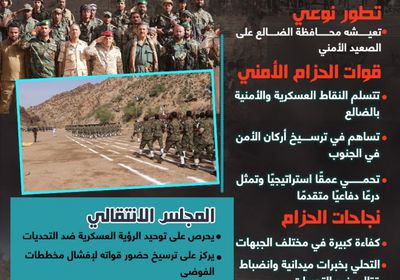 الضالع على موعد مع تعزيز الاستقرار (إنفوجراف)