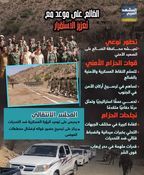 الضالع على موعد مع تعزيز الاستقرار (إنفوجراف)