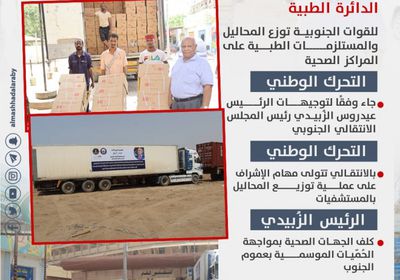 قرار القيادة الجنوبية.. نجدة لقطاع الصحة (إنفوجراف)