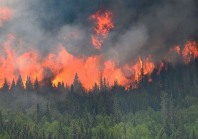 حرائق الغابات في كندا تجبر شركات النفط على إخلاء مواقع العمل