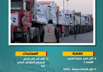 أيادي الخير الإماراتية تواصل دعمها لغزة بقافلة مساعدات جديدة ( إنفوجراف)
