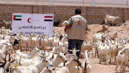 يستهدف 1612 أسرة.. هلال الإمارات يدشن "برنامج الأضاحي" في شبوة