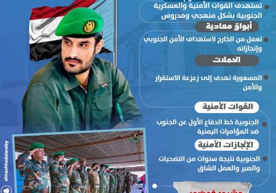 حماة الجنوب ضد التضليل.. رجال فوق الشبهات (إنفوجراف)