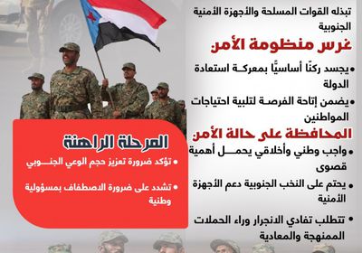 أمن الجنوب في مواجهة مخططات التشويه.. ضرورات لمجابهة التحديات (إنفوجراف)