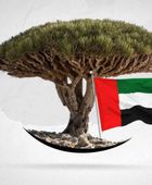 تحرير سقطرى.. من براثن الإخوان إلى فضاء الحرية الجنوبية