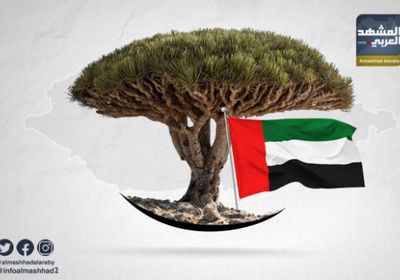 تحرير سقطرى.. من براثن الإخوان إلى فضاء الحرية الجنوبية
