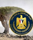 5 سنوات على التحرير.. مجد سقطرى الذي دحر إرهاب الإخوان