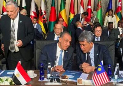 مصر تدين الانتهاكات الإسرائيلية المتكررة للسيادة السورية واللبنانية