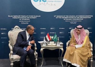 وزير الخارجية المصري يجري مباحثات مع نظيره السعودي في إسطنبول