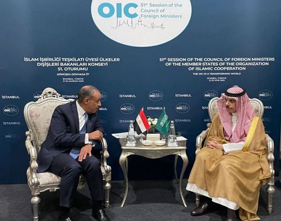 وزير الخارجية المصري يجري مباحثات مع نظيره السعودي في إسطنبول
